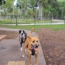Reed Canal Dog Park